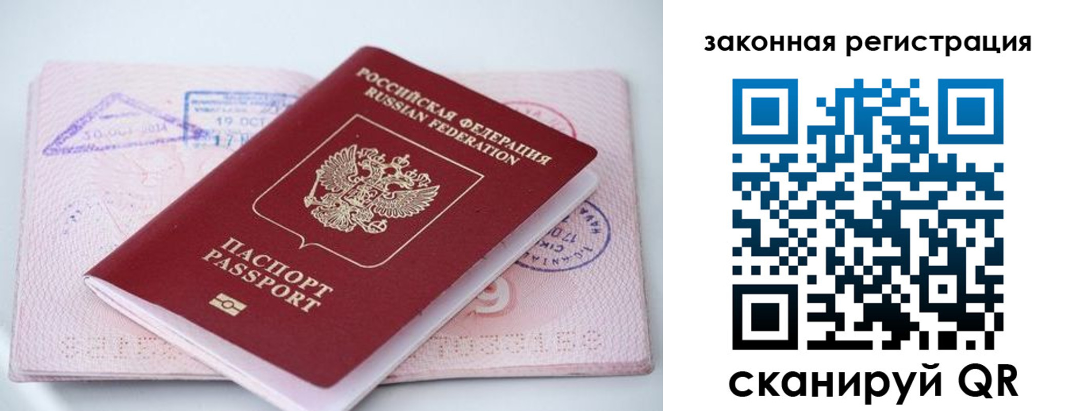 прописка в квартире в Фрязино